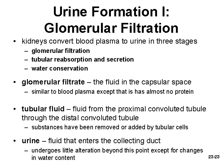 Urine Formation I: Glomerular Filtration • kidneys convert blood plasma to urine in three