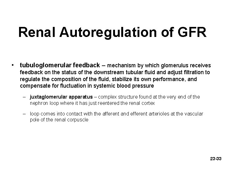 Renal Autoregulation of GFR • tubuloglomerular feedback – mechanism by which glomerulus receives feedback