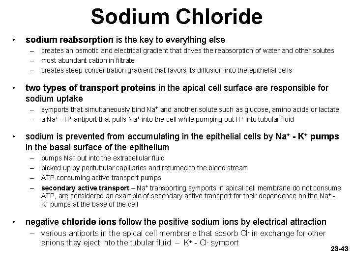 Sodium Chloride • sodium reabsorption is the key to everything else – creates an