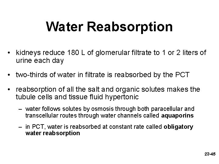 Water Reabsorption • kidneys reduce 180 L of glomerular filtrate to 1 or 2