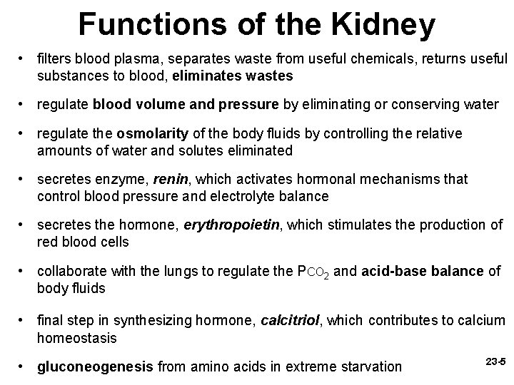 Functions of the Kidney • filters blood plasma, separates waste from useful chemicals, returns