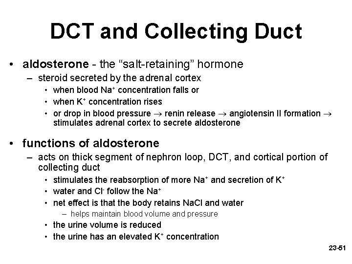 DCT and Collecting Duct • aldosterone - the “salt-retaining” hormone – steroid secreted by