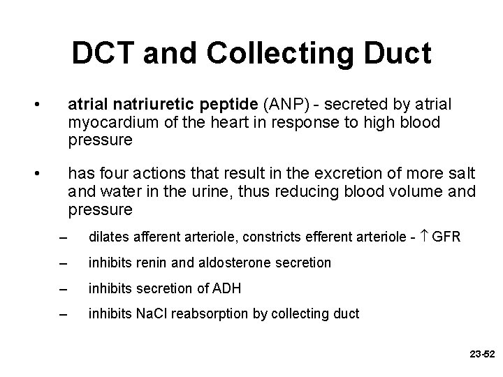 DCT and Collecting Duct • atrial natriuretic peptide (ANP) - secreted by atrial myocardium
