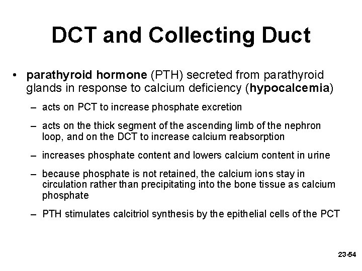 DCT and Collecting Duct • parathyroid hormone (PTH) secreted from parathyroid glands in response