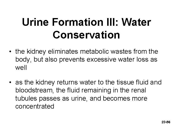 Urine Formation III: Water Conservation • the kidney eliminates metabolic wastes from the body,