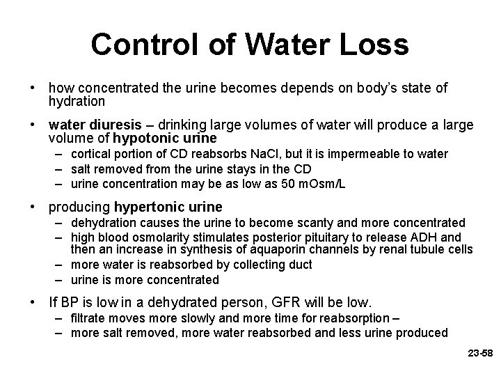 Control of Water Loss • how concentrated the urine becomes depends on body’s state