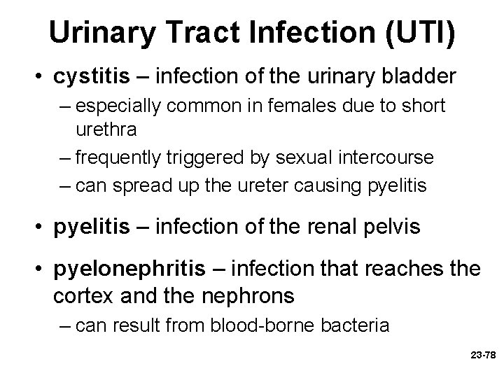 Urinary Tract Infection (UTI) • cystitis – infection of the urinary bladder – especially