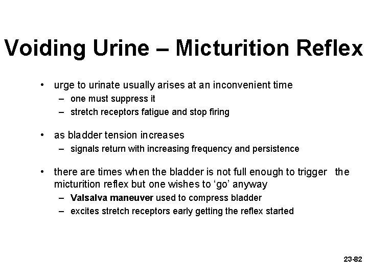 Voiding Urine – Micturition Reflex • urge to urinate usually arises at an inconvenient