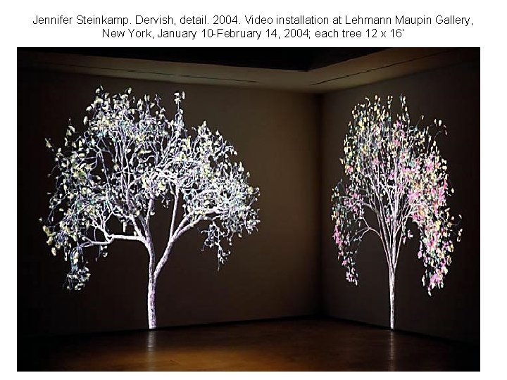 Jennifer Steinkamp. Dervish, detail. 2004. Video installation at Lehmann Maupin Gallery, New York, January