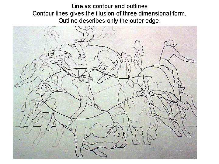 Line as contour and outlines Contour lines gives the illusion of three dimensional form.