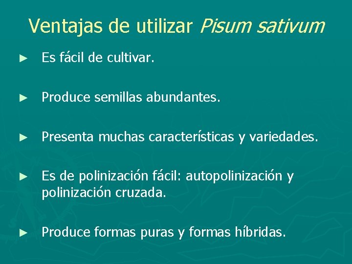 Ventajas de utilizar Pisum sativum ► Es fácil de cultivar. ► Produce semillas abundantes.