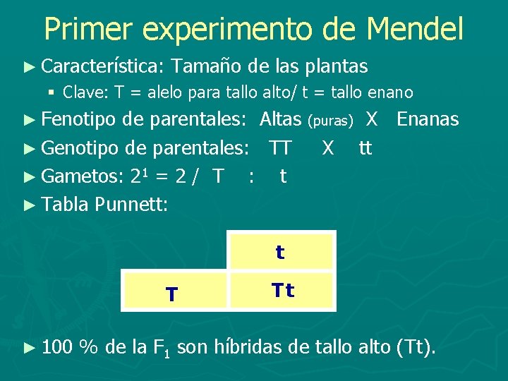 Primer experimento de Mendel ► Característica: Tamaño de las plantas § Clave: T =