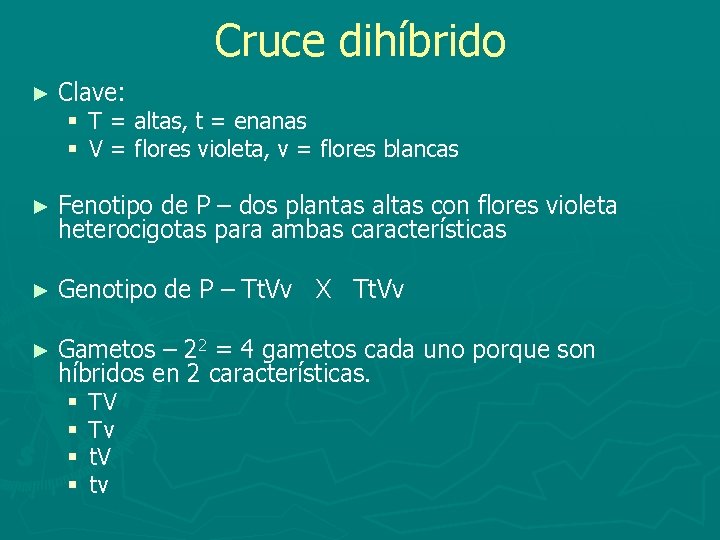 Cruce dihíbrido ► Clave: § T = altas, t = enanas § V =