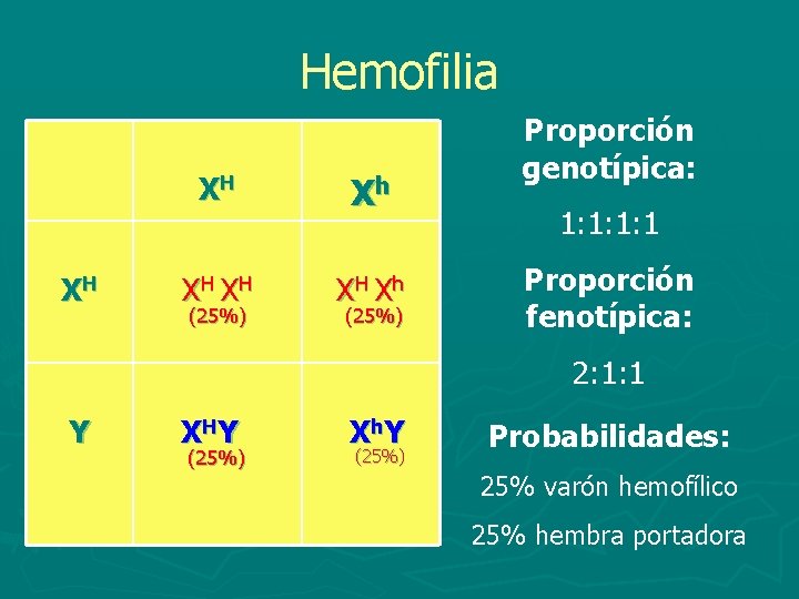 Hemofilia XH XH Xh XH XH XH Xh (25%) Proporción genotípica: 1: 1 Proporción