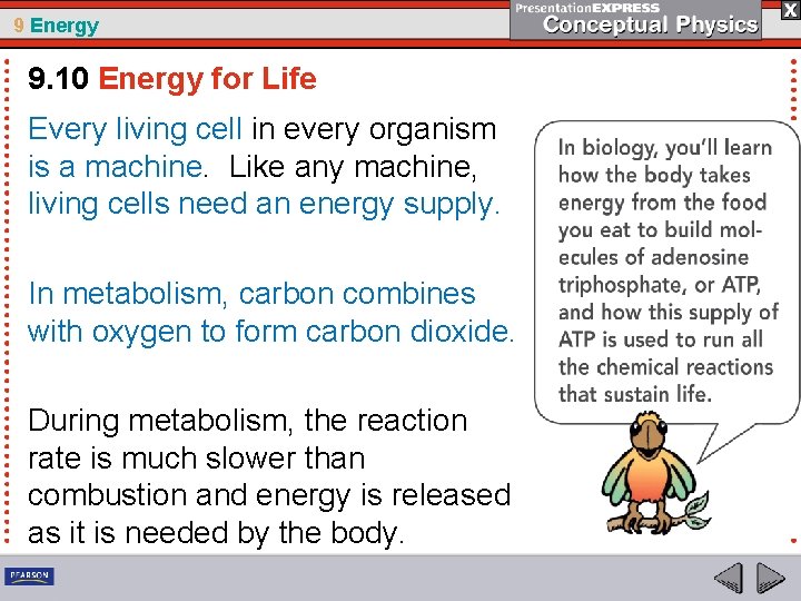 9 Energy 9. 10 Energy for Life Every living cell in every organism is