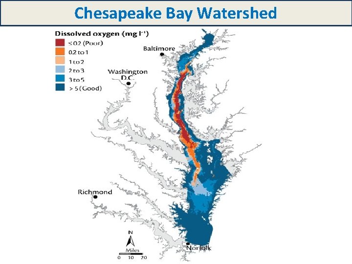 Chesapeake Bay Watershed 