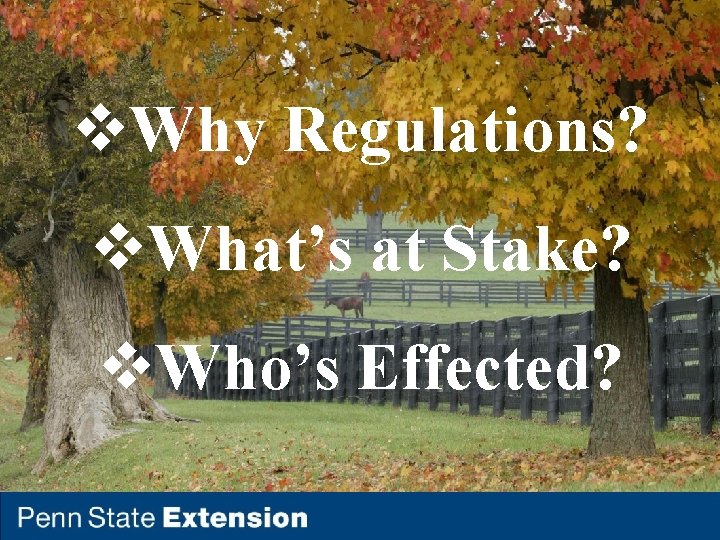 v. Why Regulations? v. What’s at Stake? v. Who’s Effected? 