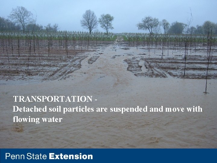 TRANSPORTATION Detached soil particles are suspended and move with flowing water 