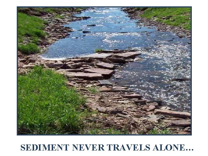 SEDIMENT NEVER TRAVELS ALONE… 