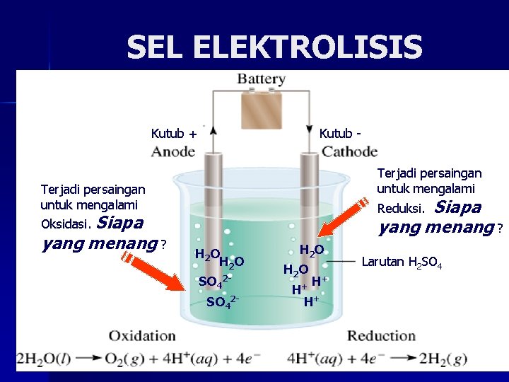 SEL ELEKTROLISIS Kutub + Kutub Terjadi persaingan untuk mengalami Siapa yang menang ? Reduksi.