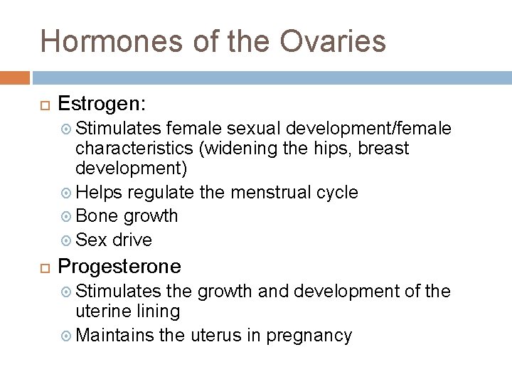 Hormones of the Ovaries Estrogen: Stimulates female sexual development/female characteristics (widening the hips, breast