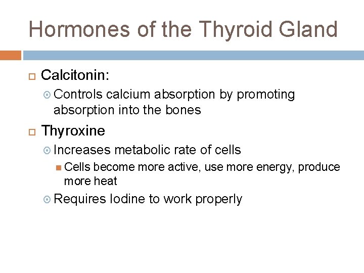 Hormones of the Thyroid Gland Calcitonin: Controls calcium absorption by promoting absorption into the