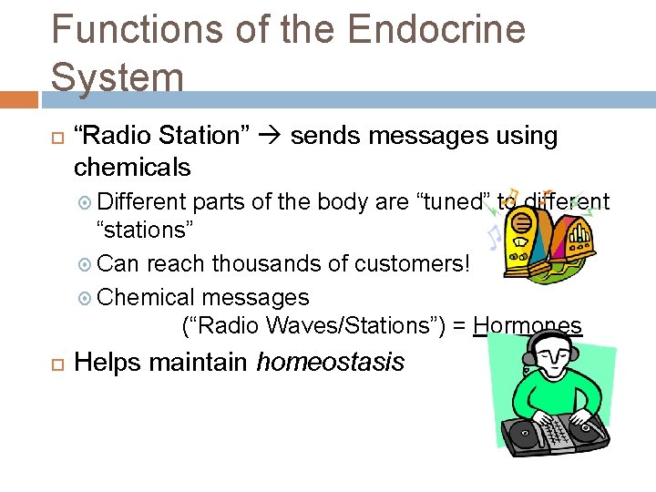 Functions of the Endocrine System “Radio Station” sends messages using chemicals Different parts of