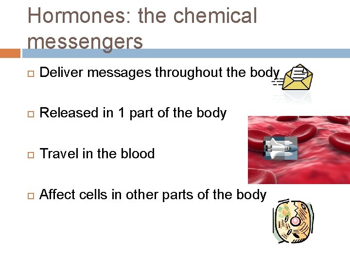 Hormones: the chemical messengers Deliver messages throughout the body Released in 1 part of