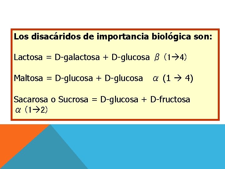 Los disacáridos de importancia biológica son: Lactosa = D-galactosa + D-glucosa β (1 4)