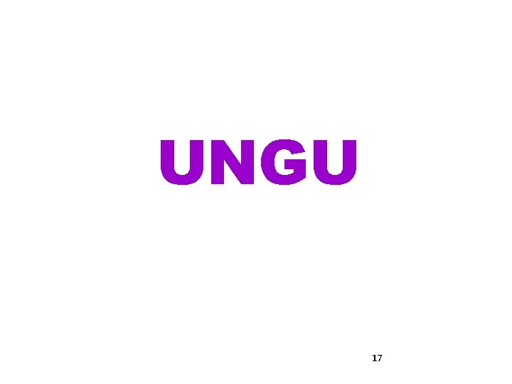 UNGU 17 