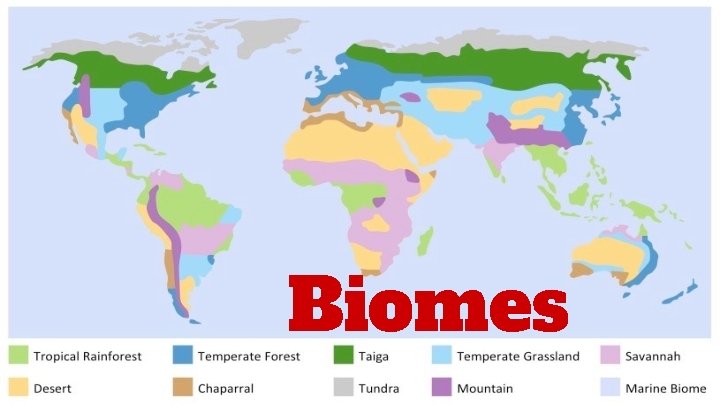Biomes Coniferous Forest Weather Temp Range Summer 50