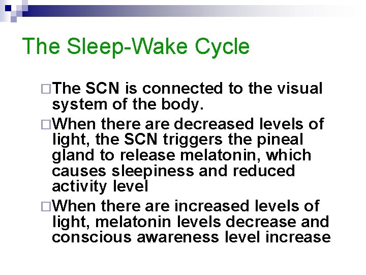 The Sleep-Wake Cycle ¨The SCN is connected to the visual system of the body.