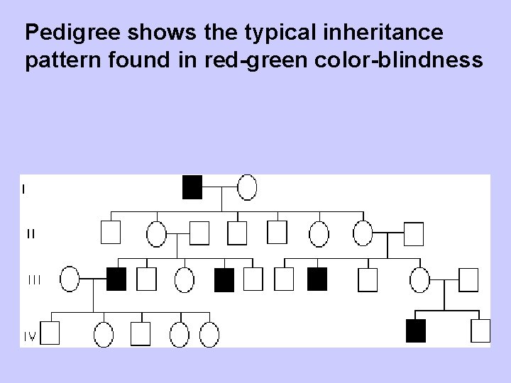 Pedigree shows the typical inheritance pattern found in red-green color-blindness 