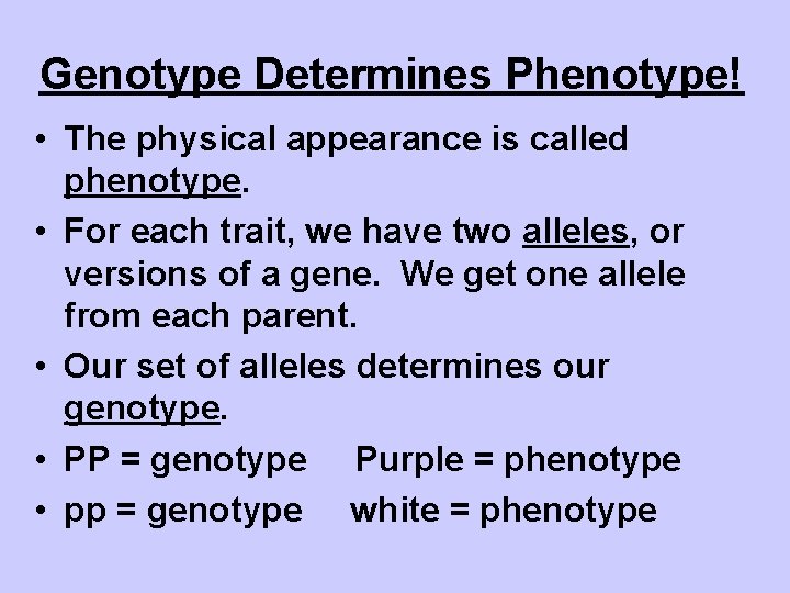 Genotype Determines Phenotype! • The physical appearance is called phenotype. • For each trait,