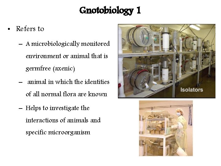 Gnotobiology 1 • Refers to – A microbiologically monitored environment or animal that is