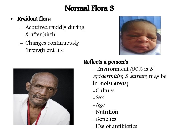 Normal Flora 3 • Resident flora – Acquired rapidly during & after birth –