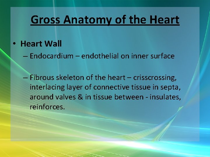 Gross Anatomy of the Heart • Heart Wall – Endocardium – endothelial on inner