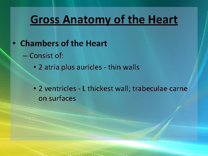 Gross Anatomy of the Heart • Chambers of the Heart – Consist of: •