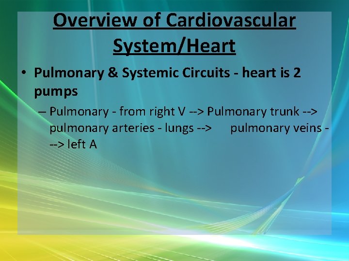 Overview of Cardiovascular System/Heart • Pulmonary & Systemic Circuits - heart is 2 pumps