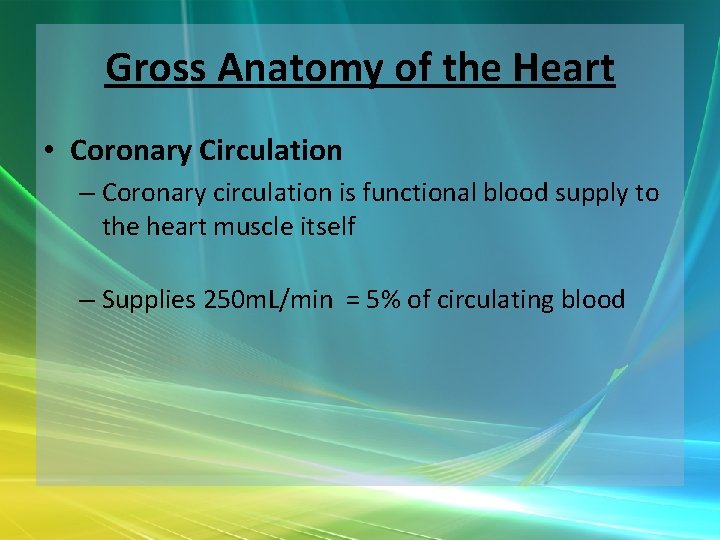 Gross Anatomy of the Heart • Coronary Circulation – Coronary circulation is functional blood