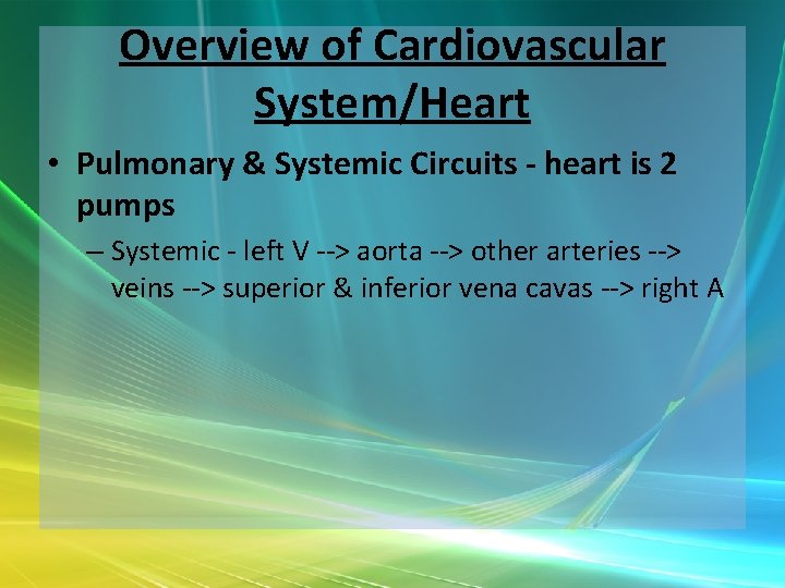 Overview of Cardiovascular System/Heart • Pulmonary & Systemic Circuits - heart is 2 pumps