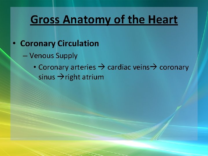 Gross Anatomy of the Heart • Coronary Circulation – Venous Supply • Coronary arteries