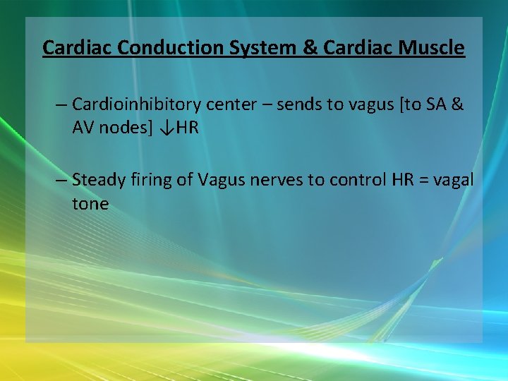 Cardiac Conduction System & Cardiac Muscle – Cardioinhibitory center – sends to vagus [to