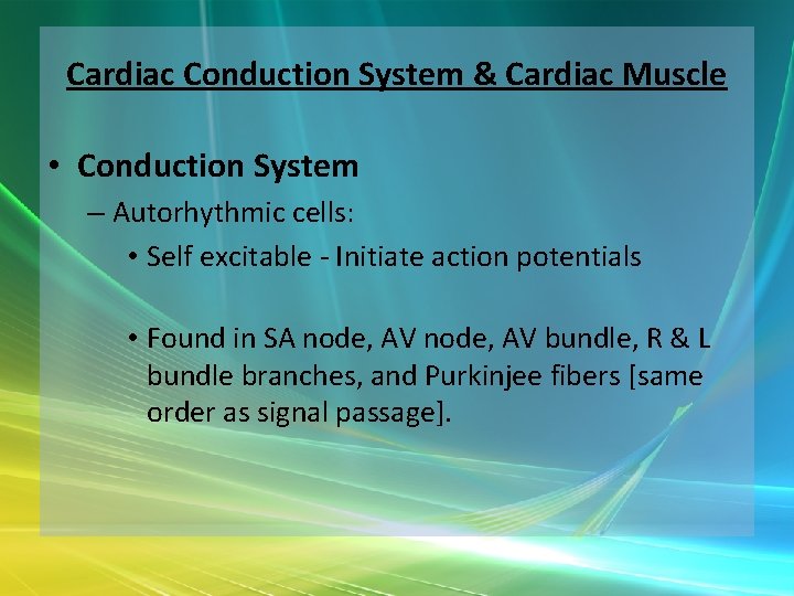 Cardiac Conduction System & Cardiac Muscle • Conduction System – Autorhythmic cells: • Self