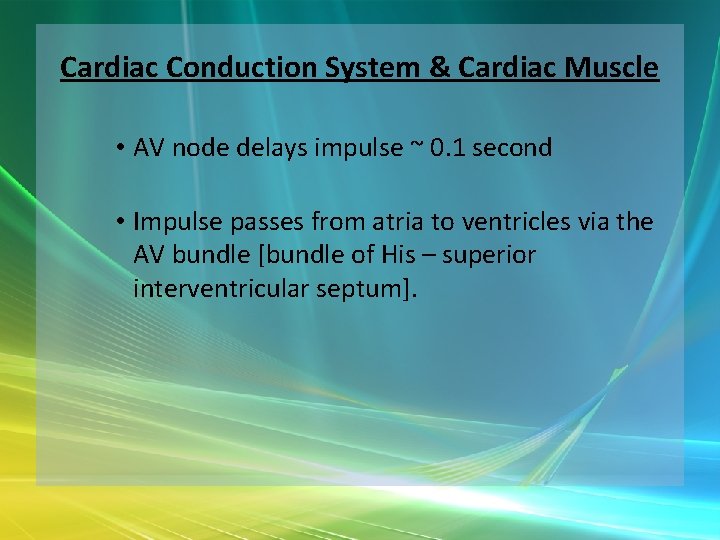 Cardiac Conduction System & Cardiac Muscle • AV node delays impulse ~ 0. 1