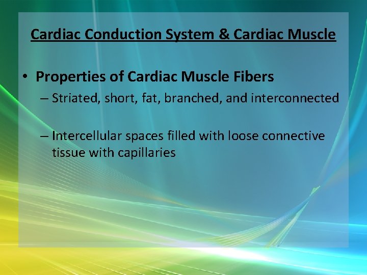 Cardiac Conduction System & Cardiac Muscle • Properties of Cardiac Muscle Fibers – Striated,