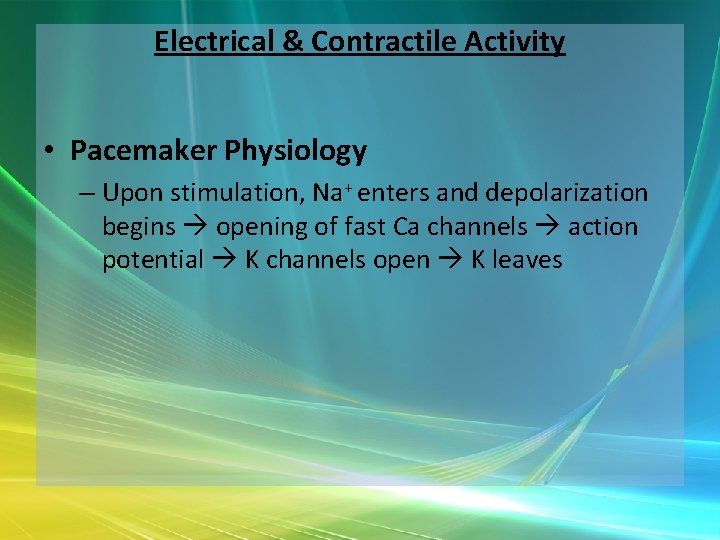 Electrical & Contractile Activity • Pacemaker Physiology – Upon stimulation, Na+ enters and depolarization