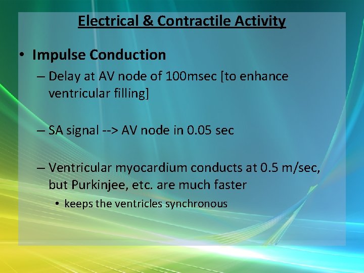 Electrical & Contractile Activity • Impulse Conduction – Delay at AV node of 100