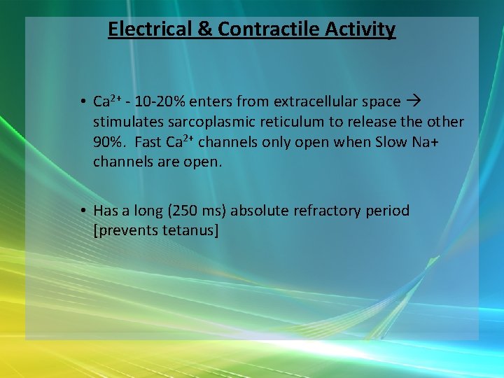 Electrical & Contractile Activity • Ca 2+ - 10 -20% enters from extracellular space