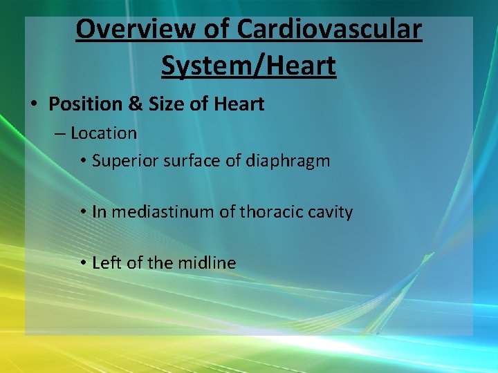 Overview of Cardiovascular System/Heart • Position & Size of Heart – Location • Superior